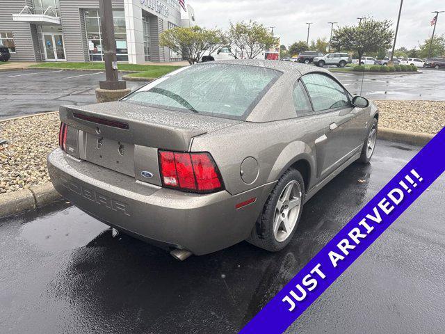 used 2003 Ford Mustang car, priced at $35,000