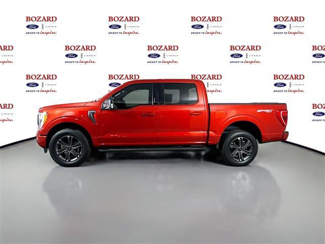 used 2023 Ford F-150 car, priced at $41,500