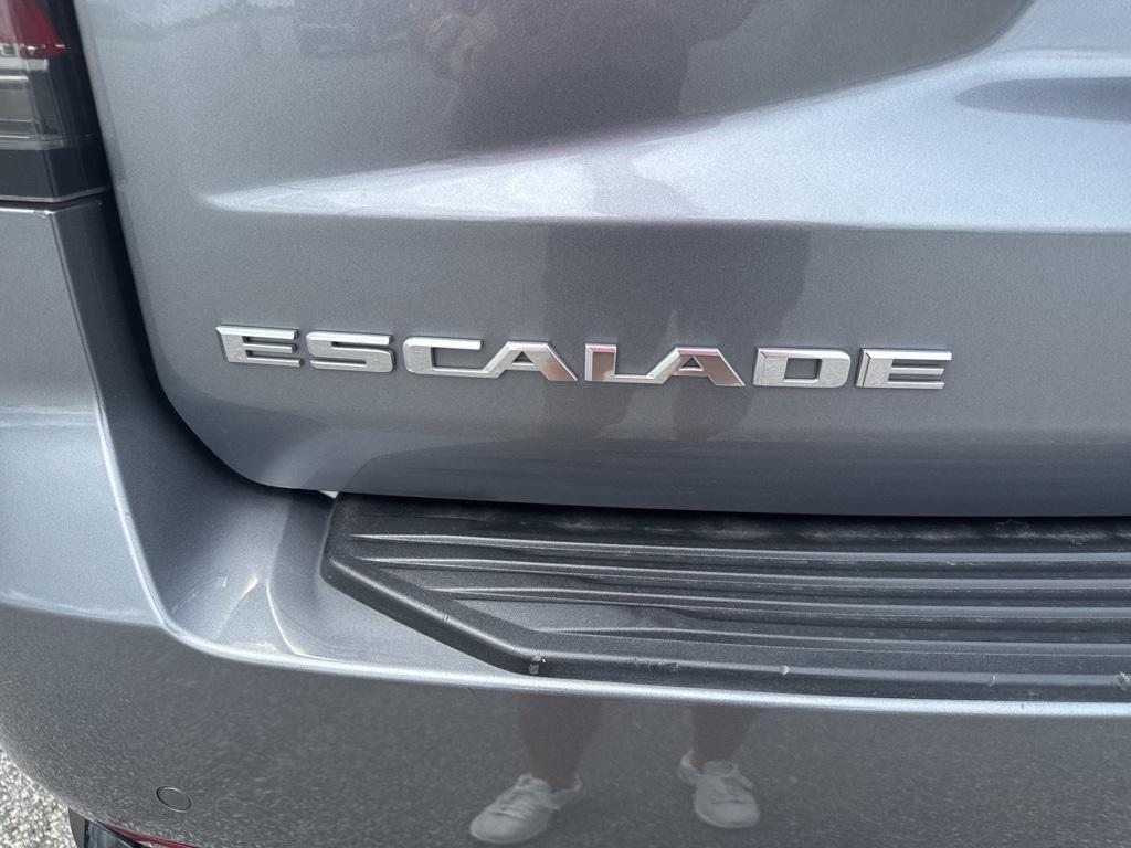 used 2021 Cadillac Escalade car