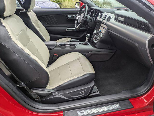 used 2019 Ford Mustang car, priced at $17,995