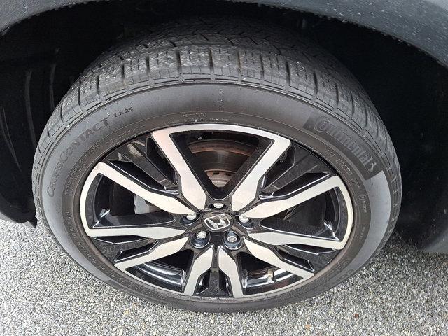 used 2019 Honda Pilot car