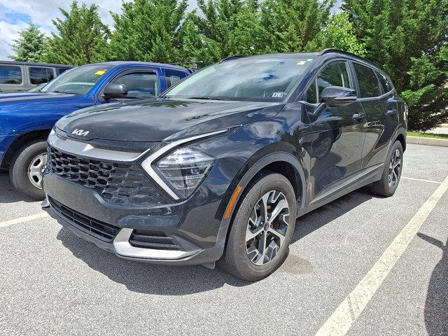 used 2024 Kia Sportage Hybrid car