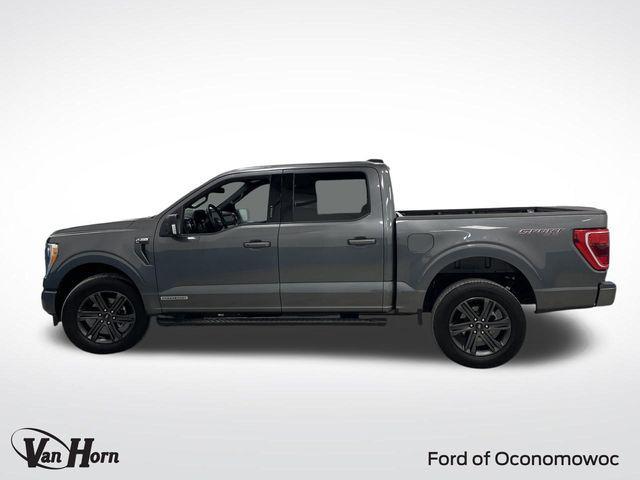 used 2023 Ford F-150 car, priced at $42,984