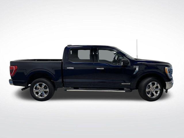 used 2023 Ford F-150 car, priced at $41,500