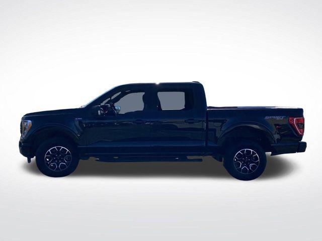 used 2023 Ford F-150 car, priced at $41,500