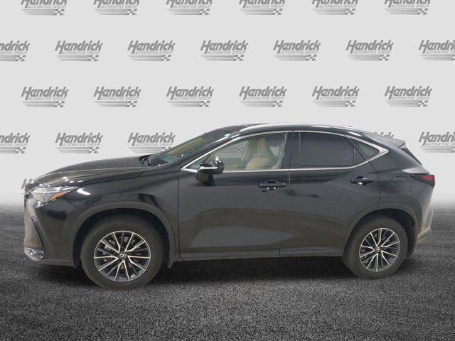 used 2025 Lexus NX 350 car, priced at $41,570
