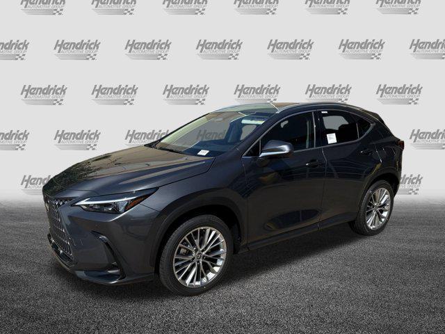 new 2025 Lexus NX 350 car, priced at $53,135