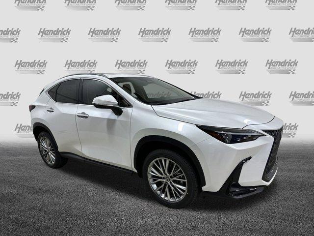 new 2025 Lexus NX 350 car, priced at $52,084