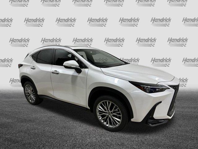 new 2025 Lexus NX 350 car, priced at $52,570