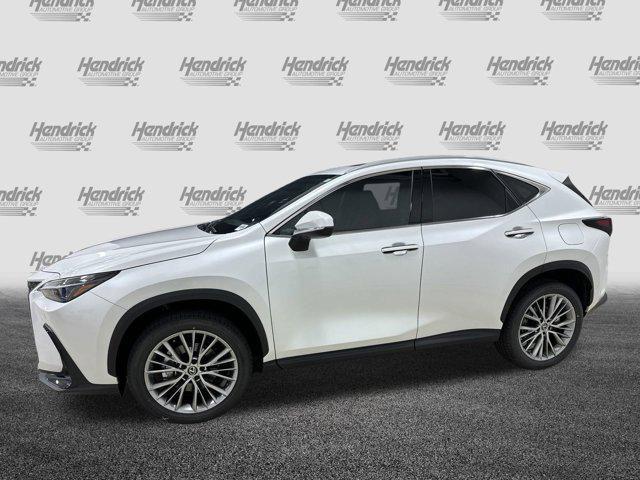 new 2025 Lexus NX 350 car, priced at $52,570