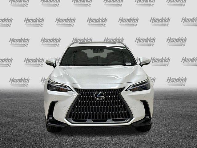 new 2025 Lexus NX 350 car, priced at $52,570