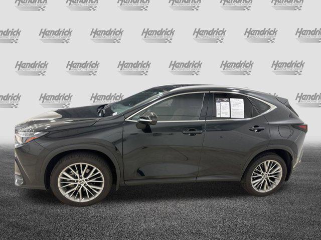 used 2025 Lexus NX 350 car, priced at $48,905