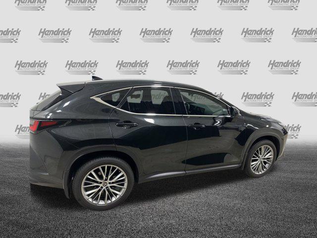 used 2025 Lexus NX 350 car, priced at $48,905
