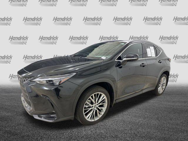 used 2025 Lexus NX 350 car, priced at $48,905