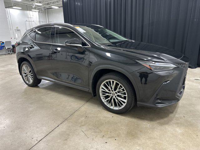 used 2023 Lexus NX 350h car, priced at $45,992