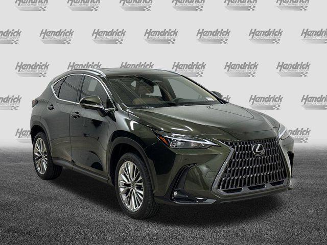 new 2025 Lexus NX 350 car, priced at $52,559