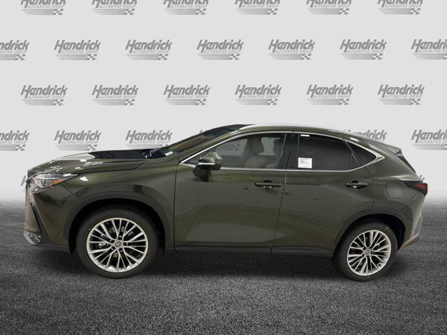 new 2025 Lexus NX 350 car, priced at $52,559