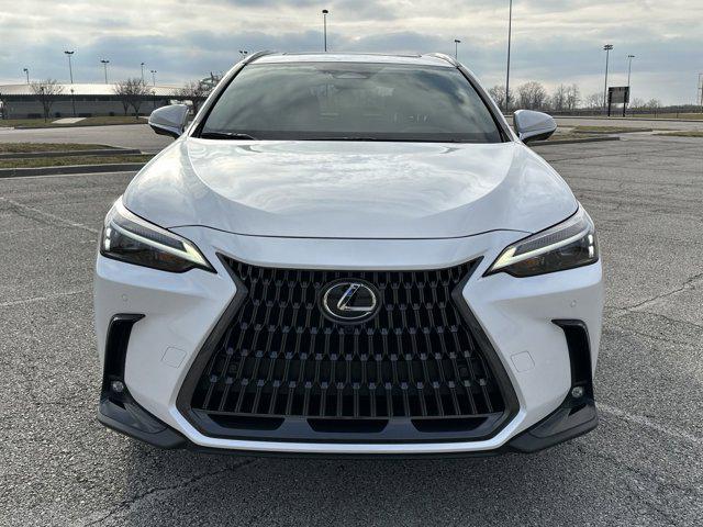 new 2025 Lexus NX 350 car, priced at $52,674