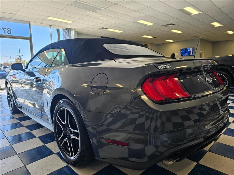 used 2019 Ford Mustang car, priced at $17,795