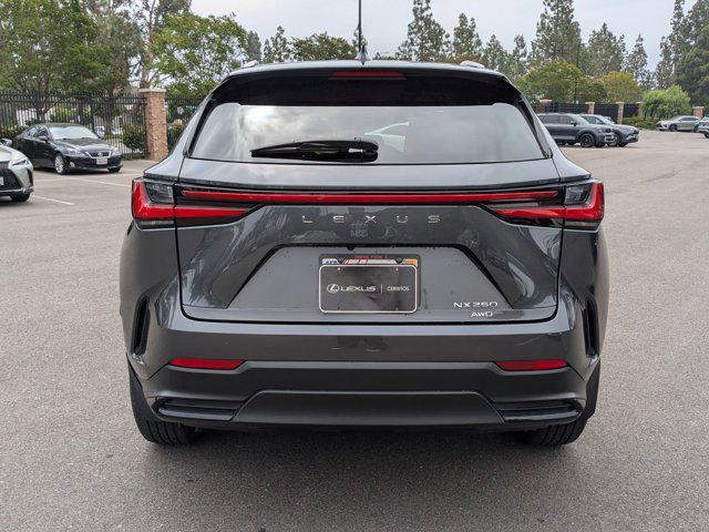 used 2022 Lexus NX 250 car, priced at $34,534