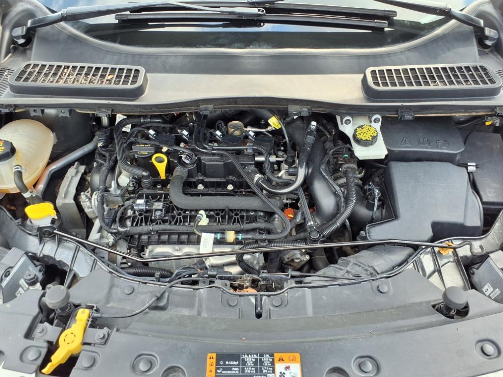 used 2019 Ford Escape car, priced at $13,372