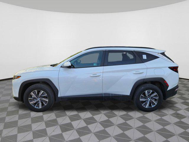 used 2024 Hyundai TUCSON Hybrid car, priced at $31,211