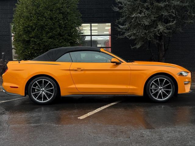 used 2019 Ford Mustang car, priced at $22,559