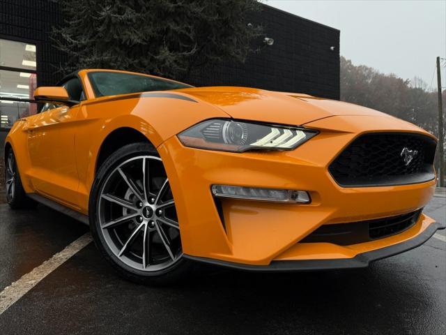 used 2019 Ford Mustang car, priced at $22,559