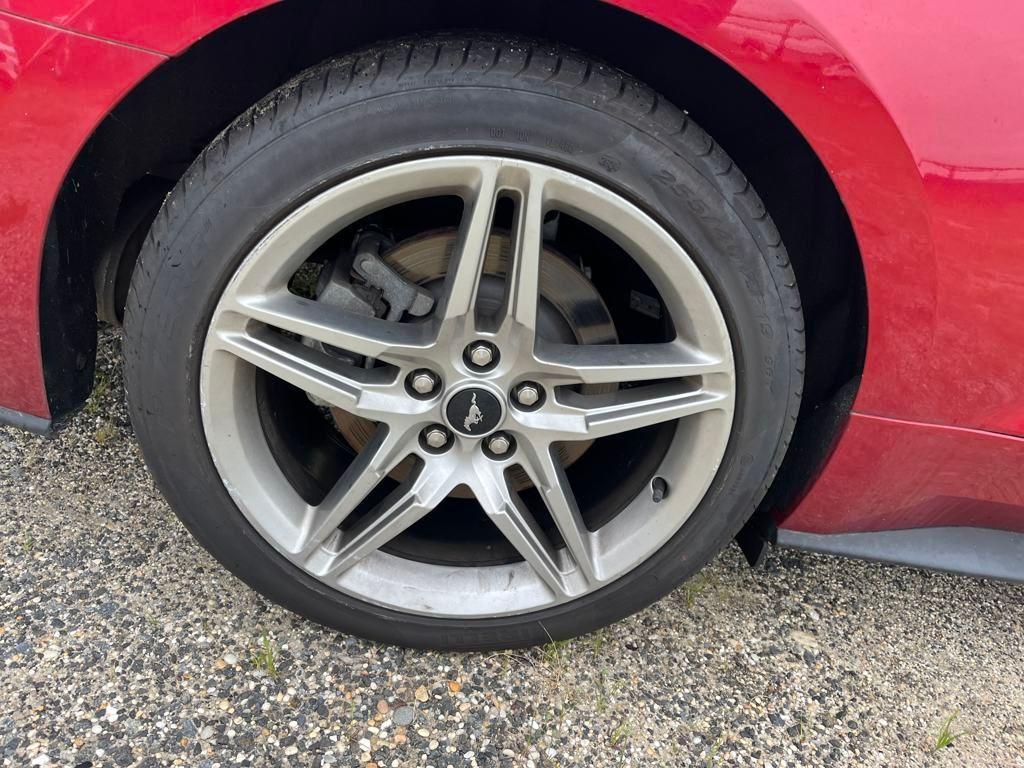 used 2021 Ford Mustang car, priced at $25,000