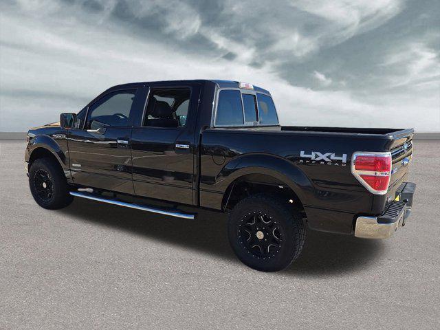 used 2014 Ford F-150 car, priced at $19,999