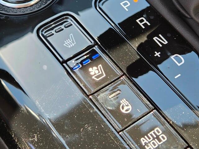 new 2025 Kia Niro car