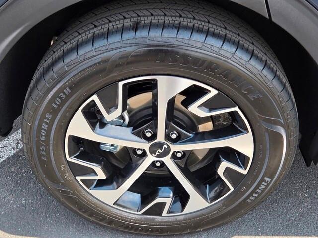used 2025 Kia Sportage Hybrid car, priced at $30,750