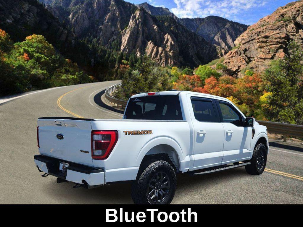 used 2023 Ford F-150 car, priced at $53,500