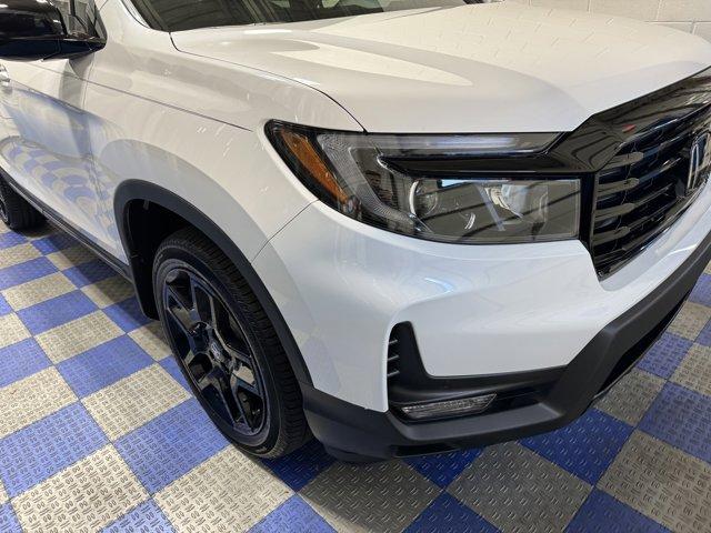 new 2025 Honda Passport car, priced at $51,120