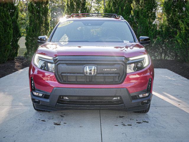used 2024 Honda Passport car, priced at $42,500
