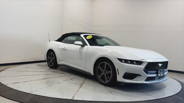 used 2024 Ford Mustang car, priced at $35,900