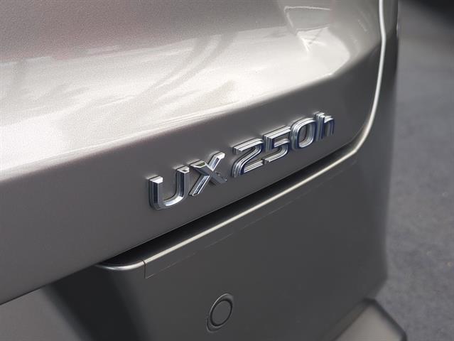 used 2019 Lexus UX 250h car, priced at $23,052