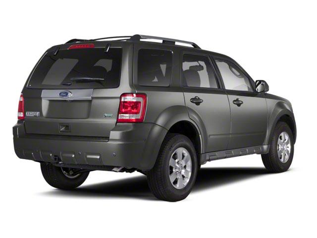 used 2010 Ford Escape car