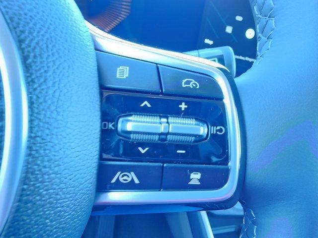 new 2025 Kia Carnival car