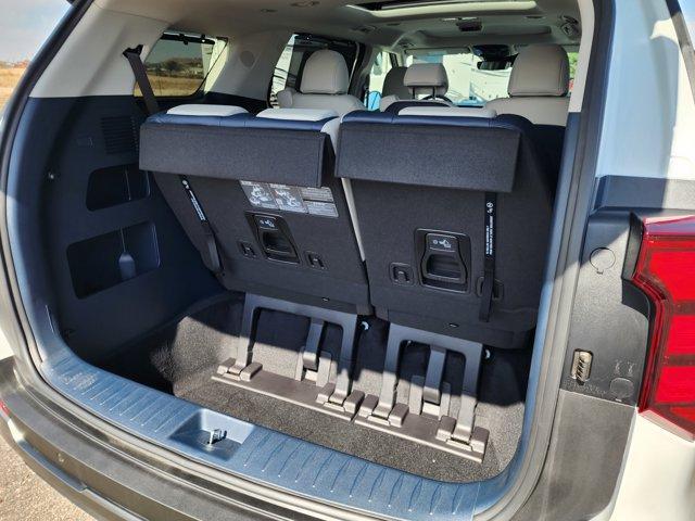 new 2025 Kia Carnival car