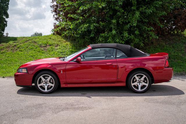 used 2003 Ford Mustang car, priced at $34,000