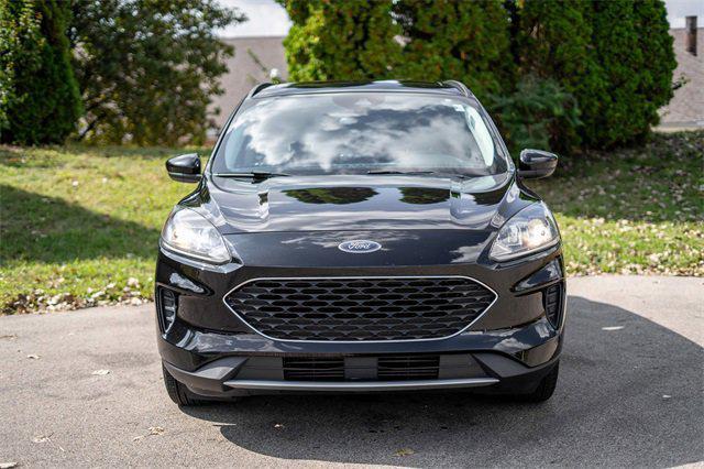 used 2021 Ford Escape car, priced at $15,000