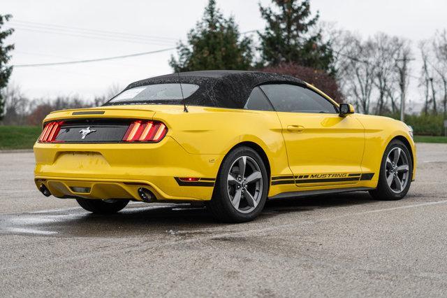 used 2016 Ford Mustang car, priced at $15,000