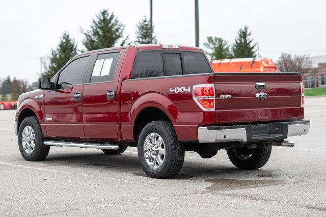 used 2014 Ford F-150 car, priced at $15,500