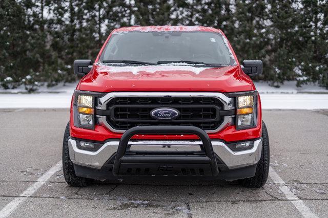 used 2023 Ford F-150 car, priced at $47,500