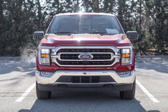 used 2022 Ford F-150 car, priced at $41,500