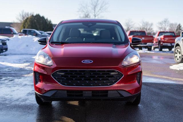 used 2021 Ford Escape car, priced at $21,000