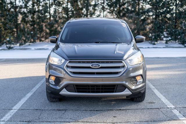 used 2019 Ford Escape car, priced at $11,000