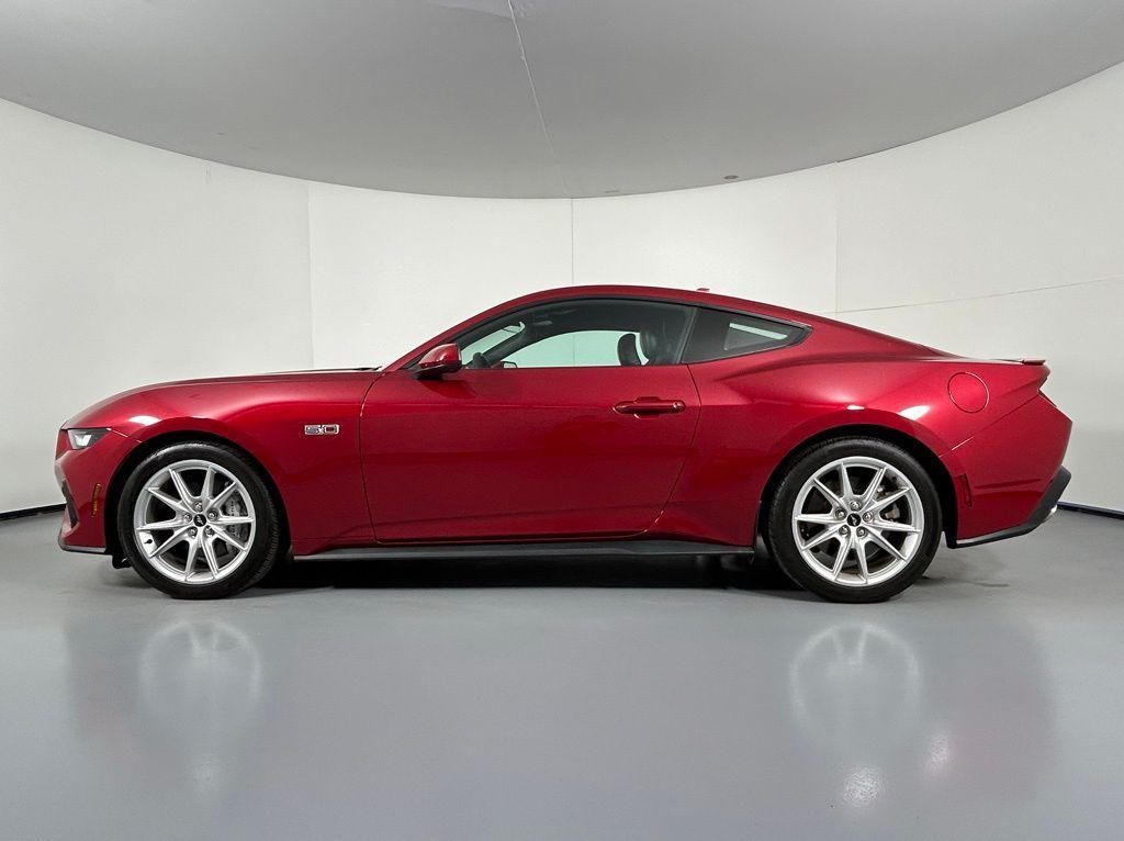 used 2024 Ford Mustang car