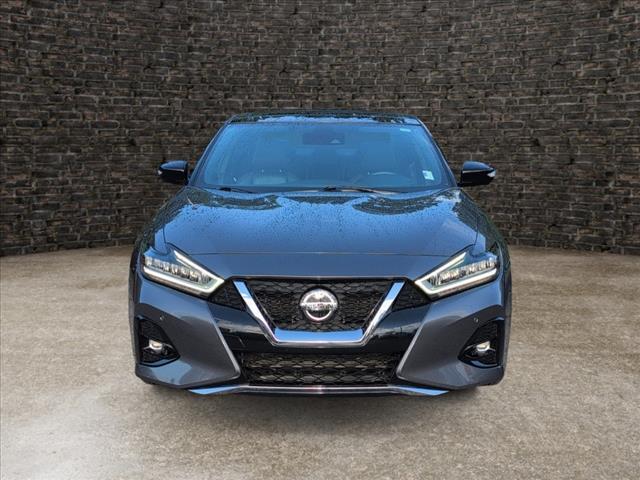 used 2019 Nissan Maxima car, priced at $25,426
